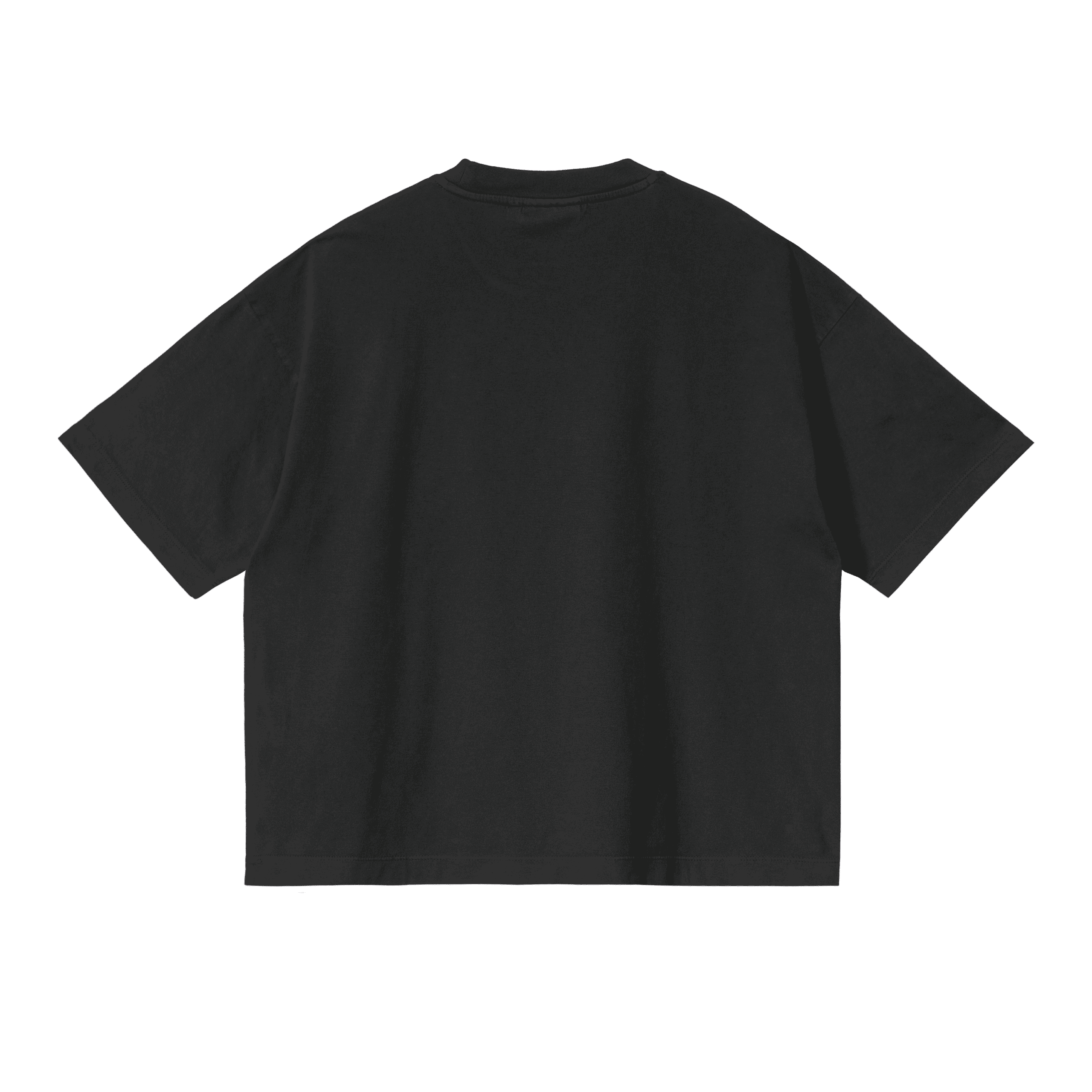 https://admin.plaze-shop.de/wp-content/uploads/2022/01/Carhartt_W_S_S_Nelson_T_Shirt_I02964789XX89XX_plaze-shop_2.jpg.png