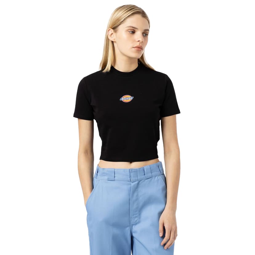 Dickies Maple Valley Tee - black