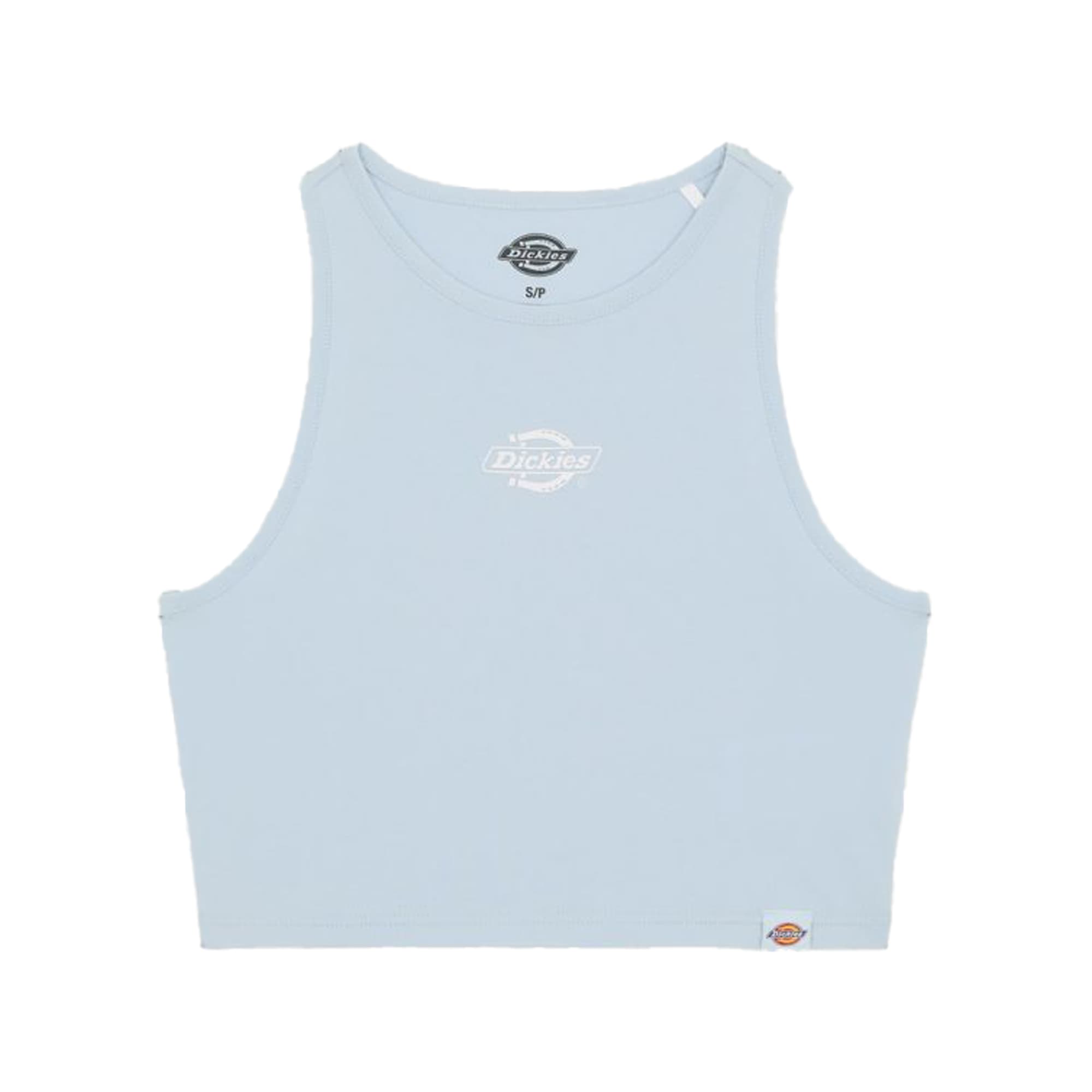 https://admin.plaze-shop.de/wp-content/uploads/2025/02/Dickies_Powers_Vest_Light_Blue_DK0A48DK541_plaze-shop_1-1.jpg